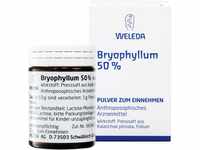 Bryophyllum 50%, 50 g Pulver