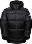 Mammut Glacier Glow IN Hooded Jacket Men