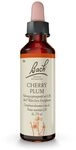 Original Bachbl&uuml;ten Tropfen Nr. 6 Cherry Plum: Sorglosigkeit empfinden mit der