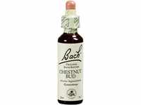Bachblte Chestnut Bud, 20 ml