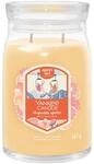 Yankee Candle Duftkerze im Glas (gro&szlig;) SLOPESIDE SPRITZ - Signature Kerze
