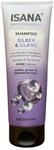 ISANA PROFESSIONAL Shampoo Silber & Glanz