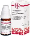 DHU Fucus vesiculosus D6 Streuk&uuml;gelchen, 10 g Globuli