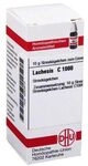 DHU Lachesis C1000 Streuk&uuml;gelchen, 10 g Globuli