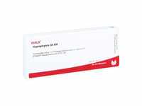 HYPOPHYSIS GL D 8 Ampullen 10X1 ml