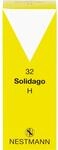 SOLIDAGO H 32 Tropfen 100 ml