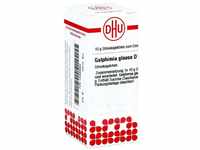DHU Galphimia glauca D 6 Streukügelchen, 10.0 g Globuli