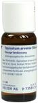EQUISETUM ARVENSE Silicea cultum D 2 Dilution 50 ml