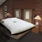 Ballonbett in 155x220 cm mit 3700 Gramm F&uuml;llung aus wei&szlig;en neuen G&auml;nsefedern...