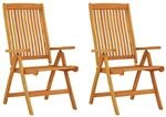 vidaXL 2X Gartenstuhl Gartenst&uuml;hle Terrassenstuhl Balkonstuhl Garten Essstuhl