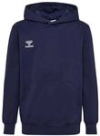 hmlGO 2.0 Hoodie Kids