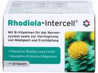 Rhodiola Intercell Kapseln