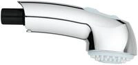GROHE Sp&uuml;lbrause (Original Ersatzteil, Langlebig, Robust, Herstellergarantie: 5