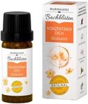 Murnauers Bachbl&uuml;ten Konzentrier Dich Globulini | Fokus | 10 g