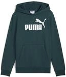 Puma Jungen No. 1 Logo Hoodie FL B Sweatshirt, Green Terrain, 128 EU