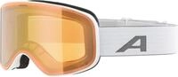 ALPINA Slope Q - Stylische Skibrille f&uuml;r Damen und Herren, Anti-Fog, effektive