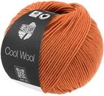 LANA GROSSA Cool Wool Uni | Extrafeine Merinowolle waschmaschinenfest und...