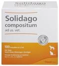 SUC-Kombination von Heel Vet, Solidago compositum ad us. Vet. 100 Ampullen