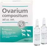 OVARIUM COMPOSITUM ad us.vet.Ampullen 5X5 ml