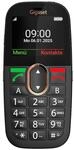Gigaset GL695 Mobiltelefon &ndash; 4G mit Voice over LTE - einfache Bedienung,...