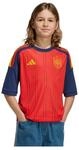 adidas RFEF H JSY Y VIVRED