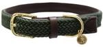 Kentucky - Hundehalsband - Geflochtene Nylon Hundeleine - Olivgr&uuml;n - Gr&ouml;&szlig;e M/L