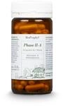 BioProphyl&reg; Darmsanierung Phase 2 - Bifidobakterien f&uuml;r den Darm
