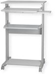 ROLINE PC-Steh-Arbeitsplatz, Grau