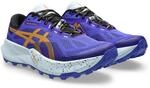 ASICS Trabuco 14 Sneaker