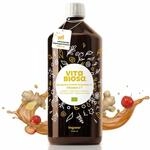 Vita Biosa Ingwer + Vitamin C Bio Fermentgetr&auml;nk 1 L &ndash; mit Vitamin C zur