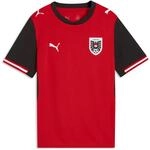 PUMA &Ouml;FB Heimtrikot Replica Jr
