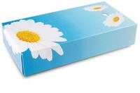 Funny Kosmetikboxen 2 lagig 100 T&uuml;cher per Box hochwei&szlig;, 10er Pack (10 x 100 Stck)