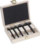 Bosch 5x EXPERT Wood Forstnerbohrersatz (f&uuml;r Weichholz, Hartholz, &Oslash; 15,0, 20,0,