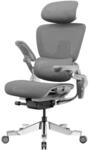 HINOMI H2 Pro B&uuml;rostuhl ergonomisch-Lordosenst&uuml;tze,Kopfst&uuml;tze&Armlehnen