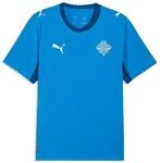 PUMA Men's Iceland Jersey Replica 2026 Shirt