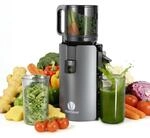 Ventray Ginnie Entsafter | Slow Juicer mit 120 mm Einf&uuml;llschacht | 1.2 L