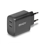 LINDY 73438 65W USB 2 x Typ C GaN Charger
