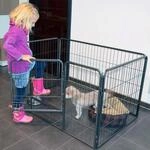 zooprinz Freilaufgehege 70,5 cm &ndash; Hundezaun f&uuml;r Welpen & Hunde |...