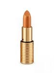 Ikos Der Denkende Lippenstift Dl4, Gelb/Apricot , 1.81 Kg (1Er Pack)