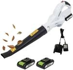 TRUTZHOLM Akku-Laubbl&auml;ser 20V mit 2000mAh 2X Akku und Ladeger&auml;t &ndash;...