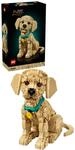 LEGO Icons Golden Retriever Welpe - Modellbau f&uuml;r Erwachsene - 3D Tierfigur zum