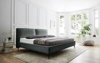 Meise M&ouml;bel Polsterbett Infinity 180x200 cm | Doppelbett | Bettgestell |...