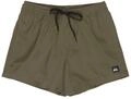 Quiksilver Herren Boardshorts