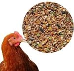25 kg Premium H&uuml;hnerfutter K&ouml;rnerfutter Plus Gefl&uuml;gelfutter f&uuml;r H&uuml;hner,...