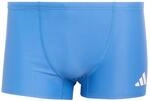 adidas Men's Sport Swim Boxers, Bright royal, 34