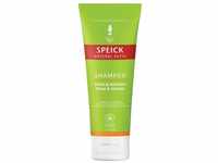 Speick Natural Aktiv Shampoo Glanz & Volumen Normales Haar, 2er Pack (2 x 200...