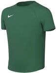 Nike Dri-FIT Park VIII Kurzarm Fu&szlig;balltrikot f&uuml;r &auml;lterer Kinder, HV8182