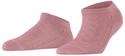 FALKE Family Special Edition Sneakersocken peachy (8981), 35-38