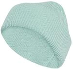adidas Unisex Terrex Multi Beanie, Semi Flash Aqua, L