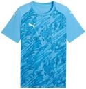 PUMA Herren Teamfinal Graphic Jersey Trikots (1er Pack)